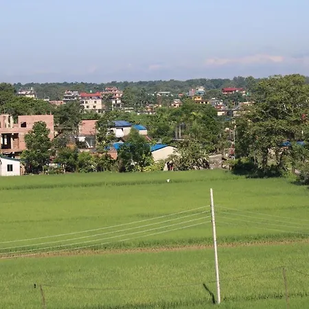 Hotel Sauraha Gaida House Chitwan Exterior photo