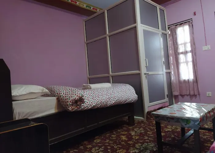 Hotel Sauraha Gaida House