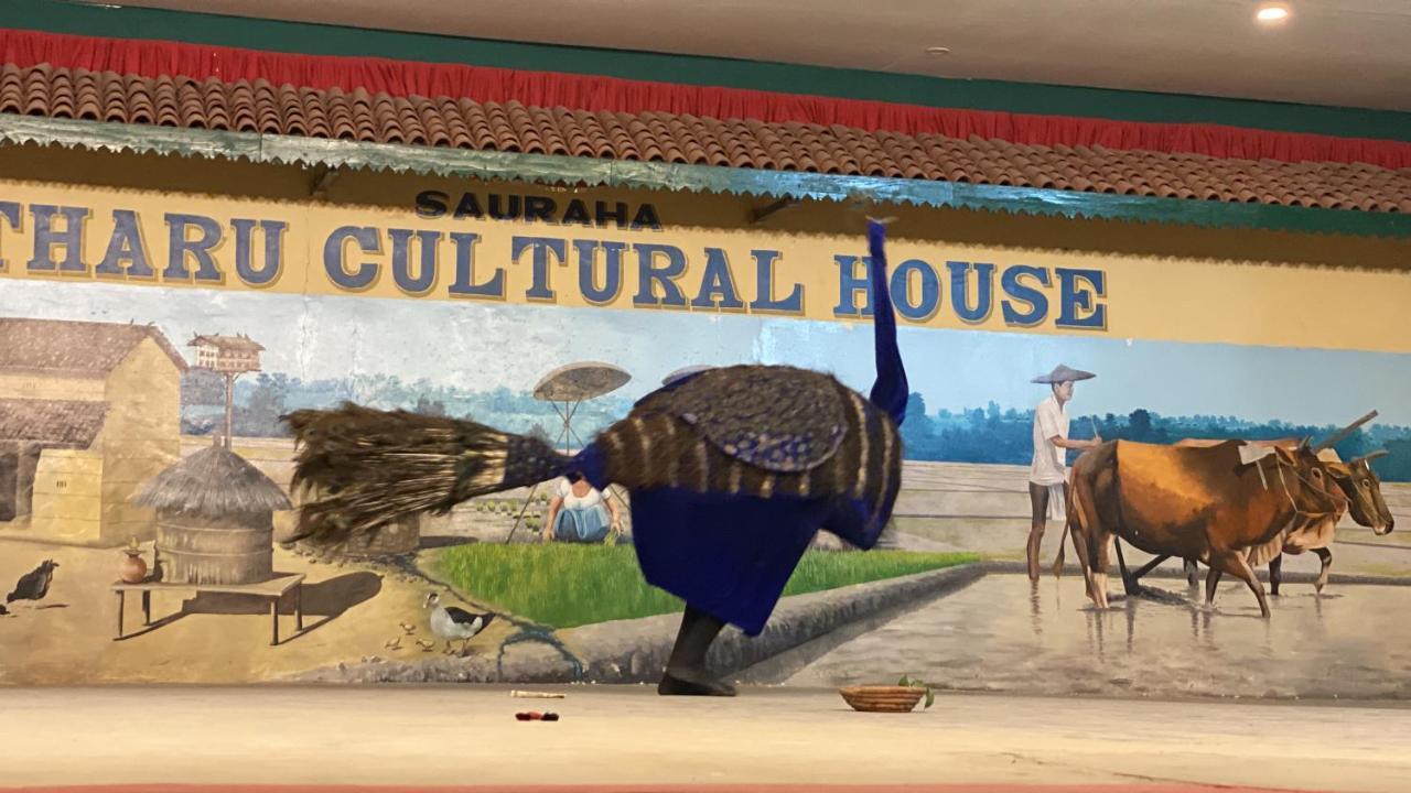 Sauraha Gaida House *