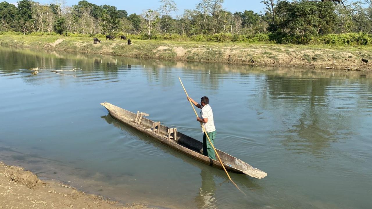 Sauraha Gaida House