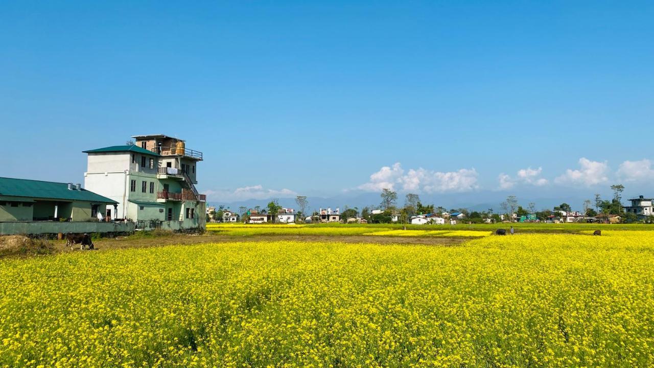 Sauraha Gaida House Apartment *