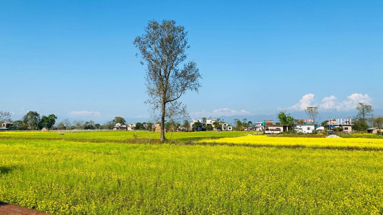 Apartment Sauraha Gaida House *