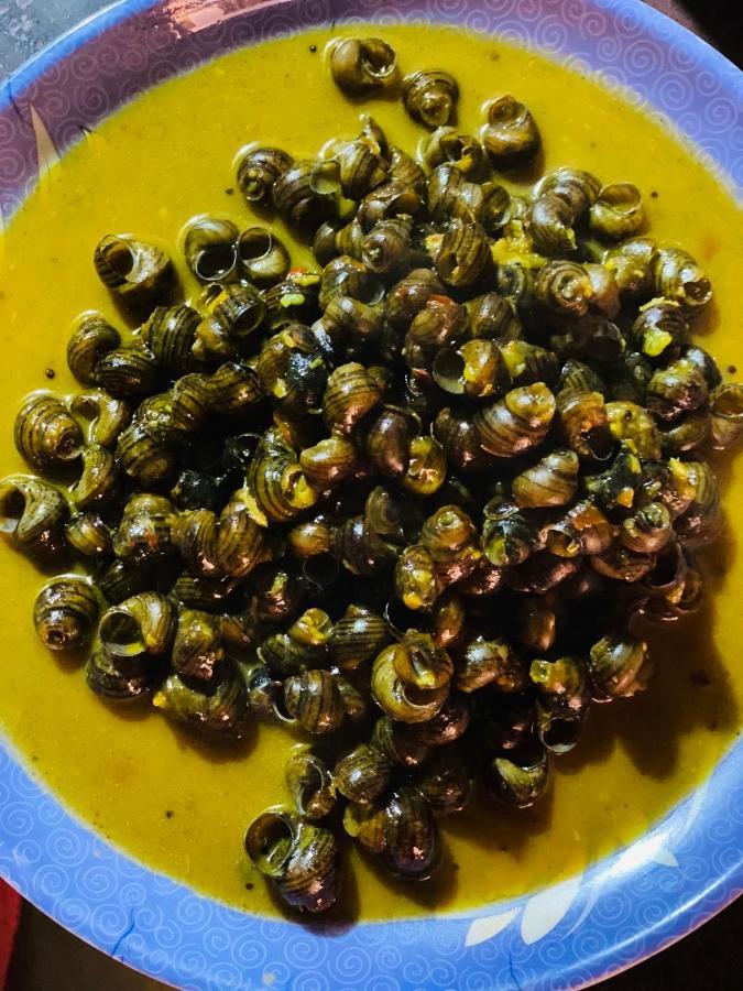 Sauraha Gaida House Apartment