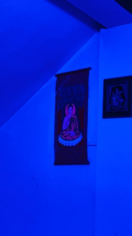 Sauraha Gaida House