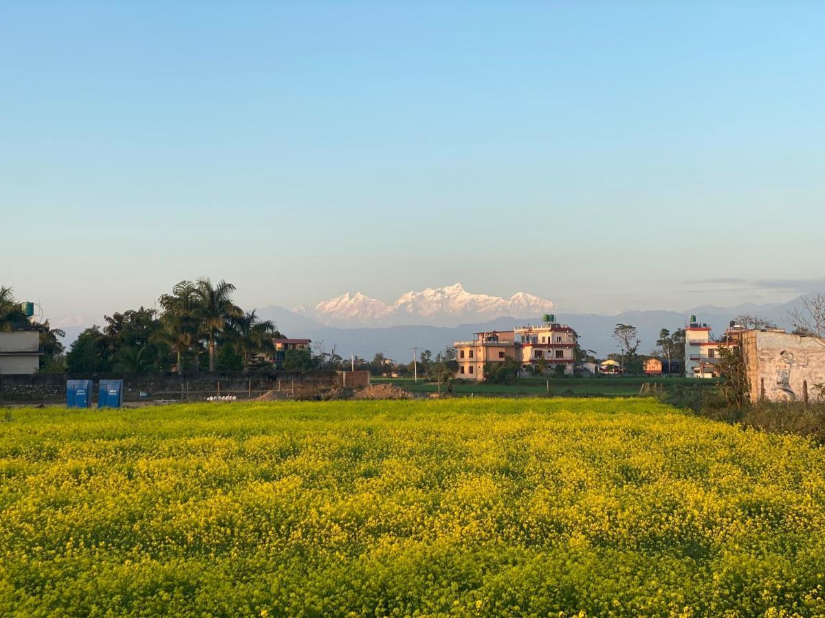 Sauraha Gaida House Apartment